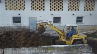 کار در گاوداری