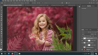 فایل های زیباسازی شاخ برگ درخت