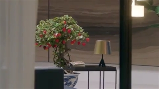 سریال افسانه روباه نه دم فصل اول قسمت 12 دوبله فارسی