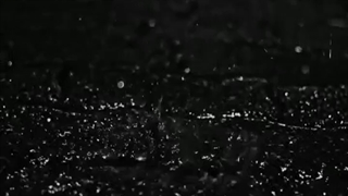 دیگه حالم داره از این شهر رو ادماش بهم میخوره دوست دارم کنکور لعنتی رو بدم و برم یه جای دیگه یکی پیدا بشه که...