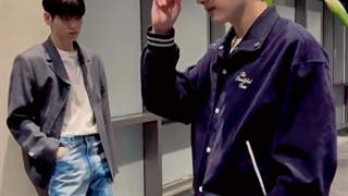 آپدیت سوبین و هونینگکای