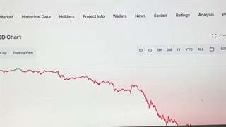 بیت کوین رشد میکنه یا منتظر کاهش قیمت باشیم؟!