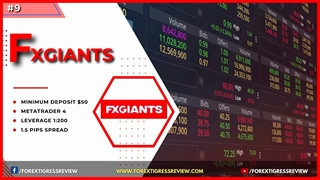 Top Bitcoin Forex Brokers In Malaysia - Forex Tigress Review