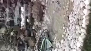 اجرای #سنگ #مالون 09192861411