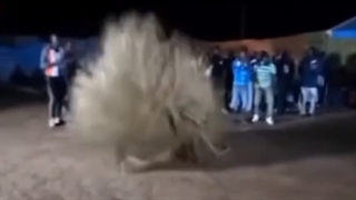 تظاهر ارواح به اشکال گوناگون