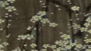 تیزر انیمه سینمایی Mononoke-720p