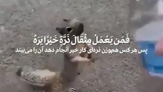 مهربانی؛غذای روح.