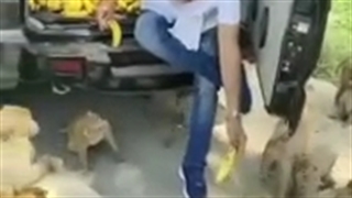 مهربانی؛غذای روح.