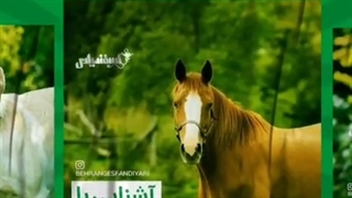 بهترین داروخانه دامپزشکی در ایران