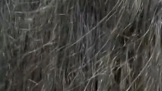 بوتاکس-مو