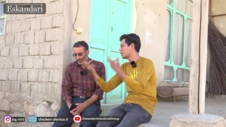 پرورش و نگهداری جوجه قوغاز ها از چهل روزگی تا ۷ ماهگی