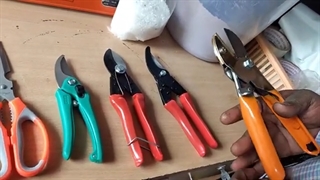 انواع قیچی های باغبانی