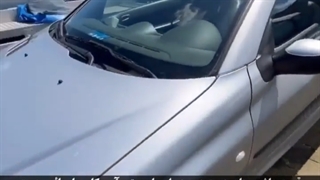 ۲۰۶ سه میلیونی در هلند