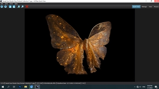 بال های لایه باز فرشته