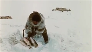 مستند قدیمی توکتو اسکیمو قسمت ۸