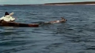 مستند قدیمی توکتو اسکیمو قسمت ۹