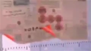 آیا امام خمینی، سید هندی بود؟    #به_اشتراک_بگذارید