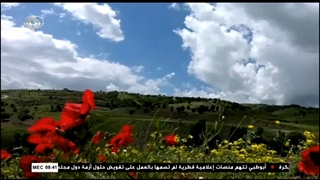 کارخانه تولید کننده ظروف پلی اتیلن ( قیمت ارزان )