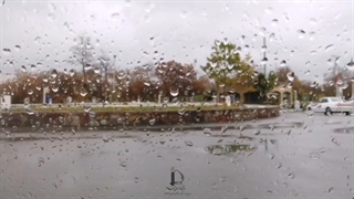 دکلمه ای برای دانشگاه فردوسی