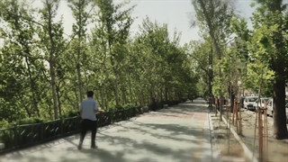 استاندارد حلال