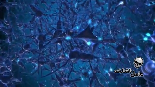 روح انسان بعد از مرگ در ابعاد کوانتوم