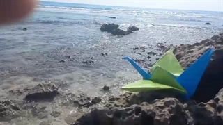 جزیره افسانه ای کیش