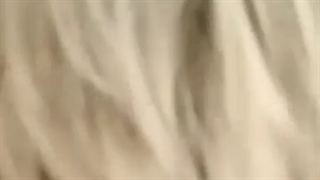 نمونه کوتاهی مو پیکسی در آکادمی مو صادقی