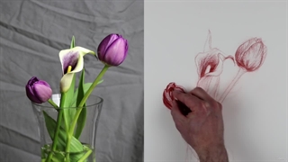 13. نمایش نقاشی گیاه شناسی پارت سوم