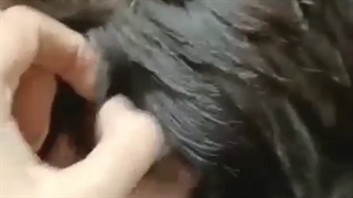 کوتاهی مو استایل فرانسوی