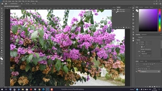 آموزش فتوشاپ از مقدماتی تا پیشرفته [درس 109] - پنل اکشن