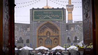 نماهنگ نگاهم کن ضامن آهو